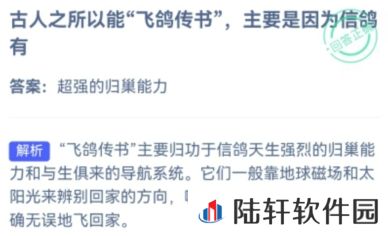 支付宝