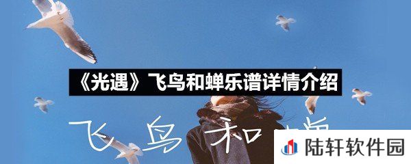 光遇飞鸟和蝉乐谱具体该怎么弹-光遇飞鸟和蝉乐谱详情介绍一览[图文]