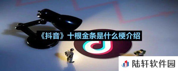 抖音十根金条代表什么寓意-抖音十根金条是什么梗介绍一览[图文]