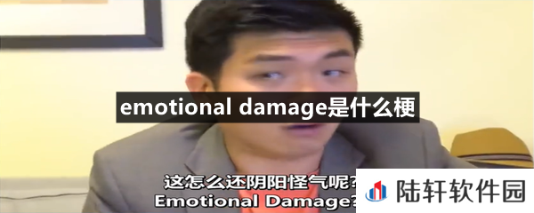 emotionaldamage这个梗什么意思-emotionaldamage是什么梗一览[图文]