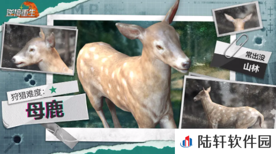 逆境重生母鹿出没位置 逆境重生母鹿作用介绍