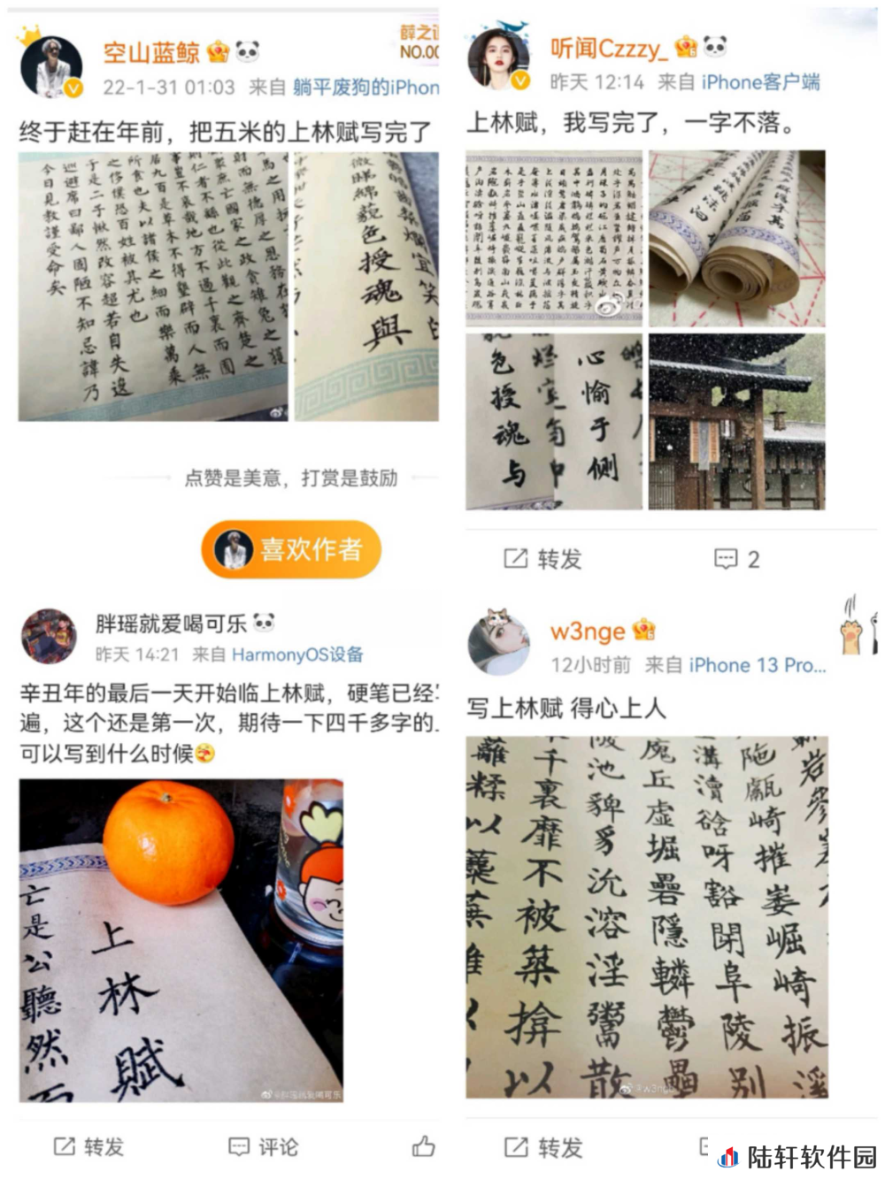 手抄上林赋是什么梗