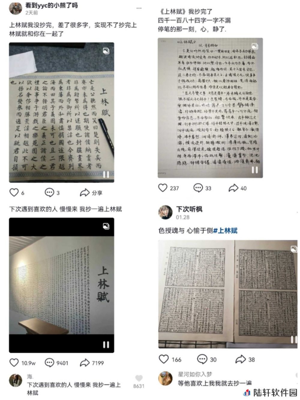 手抄上林赋是什么梗