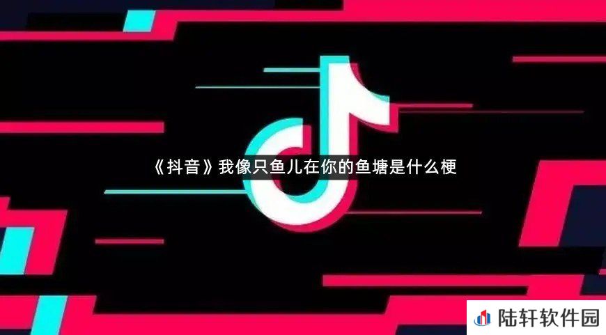 我像只鱼儿在你的鱼塘是什么意思?-抖音我像只鱼儿在你的鱼塘是什么梗一览[图文]