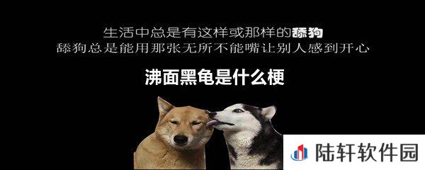沸面黑龟头像图片有哪些-沸面黑龟是什么梗一览[图文]