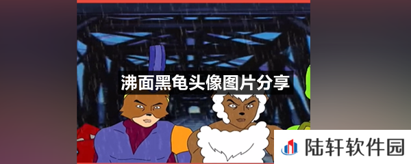 沸面黑龟是是什么梗-沸面黑龟头像图片分享一览[图文]