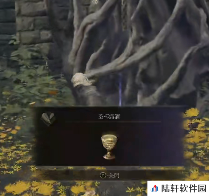 《艾尔登法环》十二圣杯露滴全收集汇总(2)