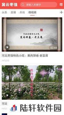 冀云枣强最新版app下载安装-冀云枣强本地新闻资讯最新版下载v1.0.0