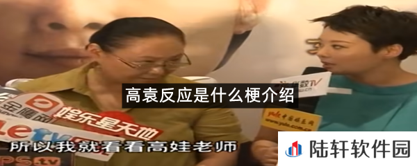 高袁反应是什么意思?-高袁反应是什么梗介绍[图文]