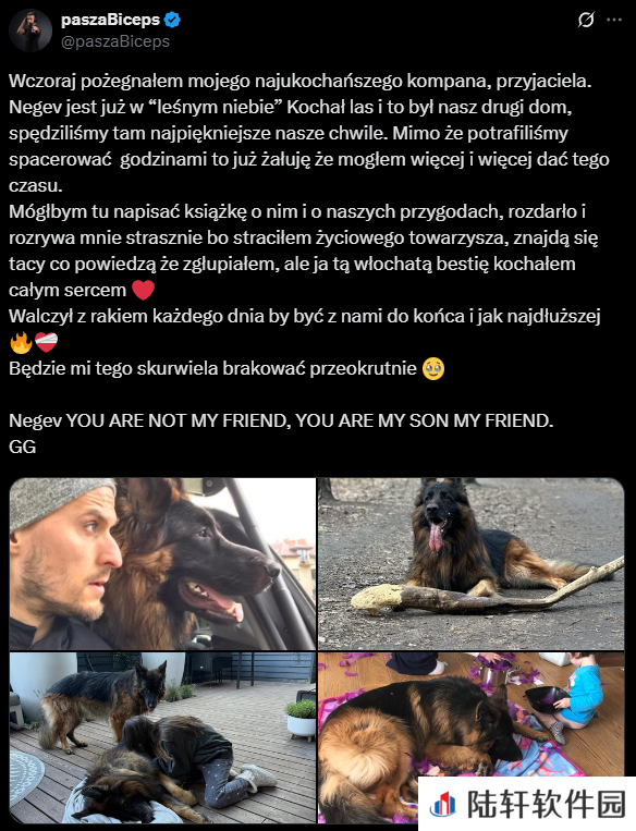爱犬Negev因癌症去世，pashaBiceps发文深情告别