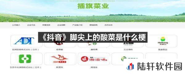 抖音脚尖上的酸菜是什么意思?-抖音脚尖上的酸菜是什么梗一览[图文]