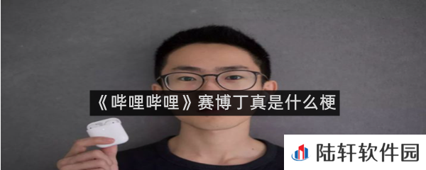 赛博丁真是谁?赛博丁真是干嘛的?-哔哩哔哩赛博丁真什么梗一览[图文]
