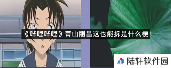 哔哩哔哩和叶绿了?服部平次人设崩塌,青山刚昌这也能拆是什么意思?-哔哩哔哩青山刚昌这也能拆是什么梗一览[图文]